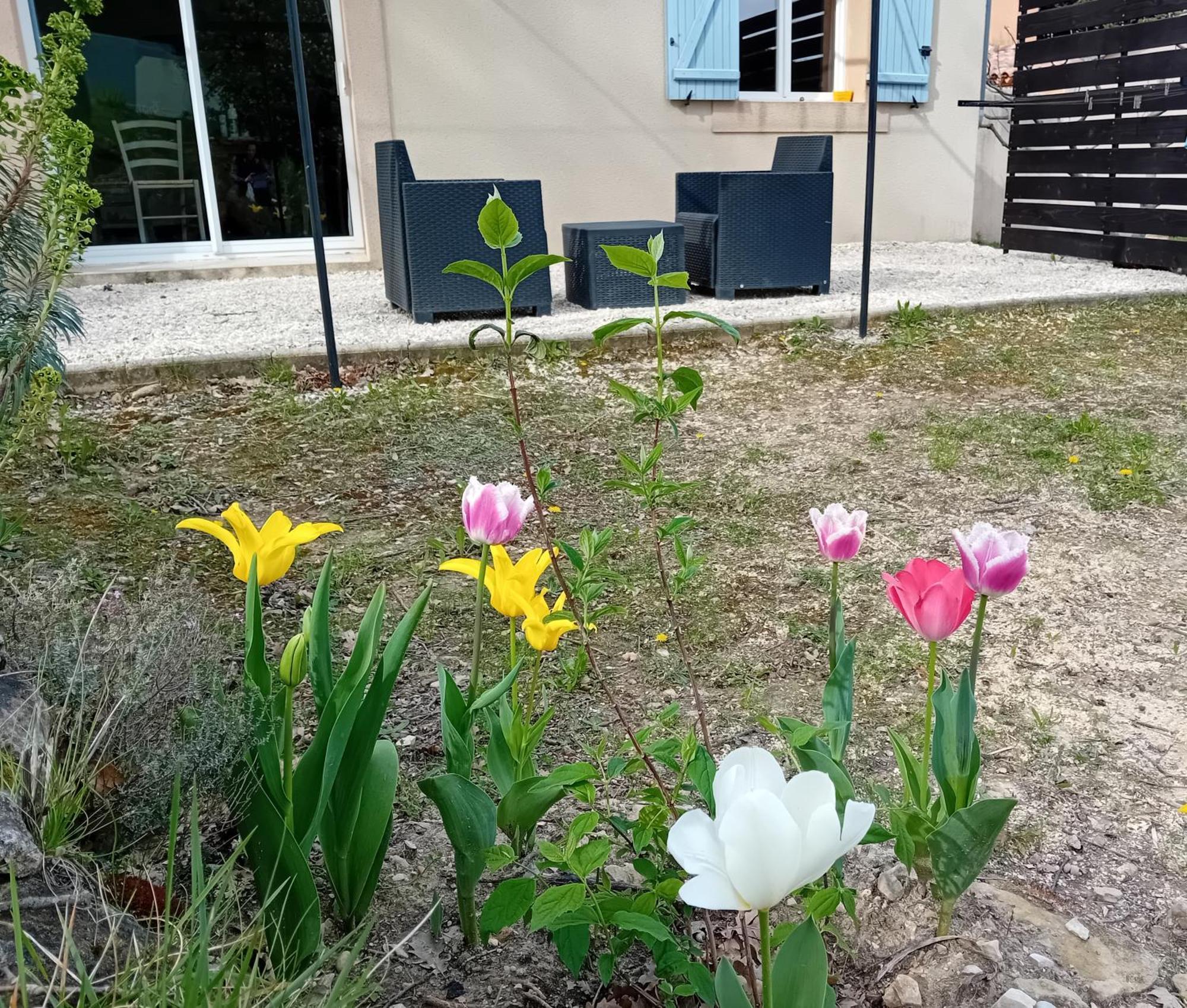 Gite Sittelle Parking Prive Linge Fourni Malaucene Luaran gambar